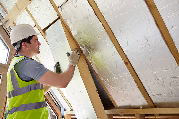 Best Eco-Friendly or Green Insulation Solutions  in Bryn Mawr, PA